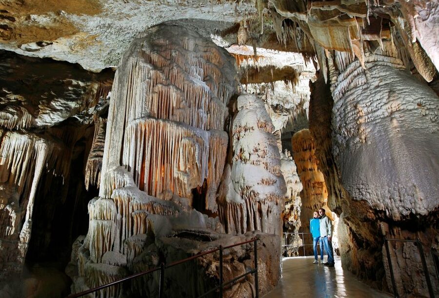 From Zagreb: Ljubljana, Postojna Cave & Predjama with Ticket - The van ride, hotel pickup, and why transport is part of the value