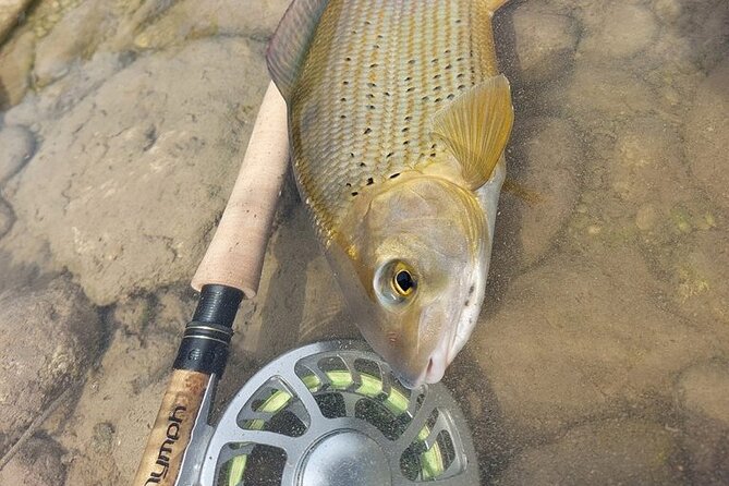 Full Day Private Guided Fishing Charter along the Isonzo Front - Private Guided Flow in Bovec: What the Whole Day Feels Like