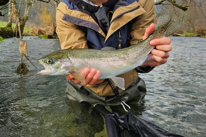 Full Day Private Guided Fishing Charter along the Isonzo Front - Marble Trout, Rainbow Trout, and the Casting Lessons That Actually Matter