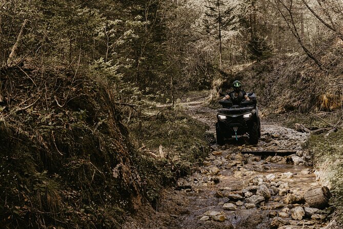 Full-Day Quad Rental in Bled - Forest Riding for Real Time: Why This Feels Like an Adventure