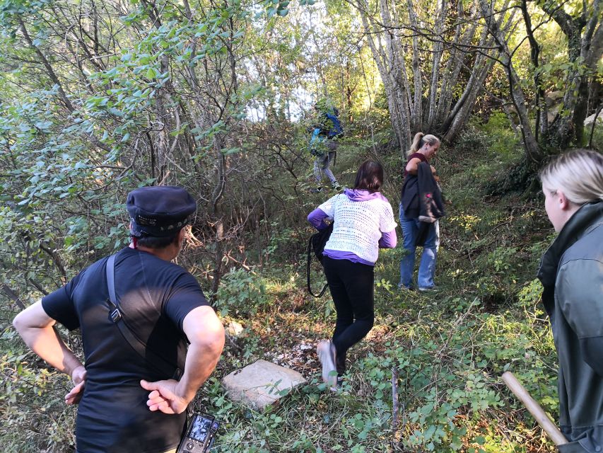 Gažon to Istria: Truffle Hunting, Cooking & Tasting - Truffles In Gažon: Why This Feels Like Istria, Not a Demo