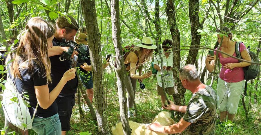 Gažon to Istria: Truffle Hunting, Cooking & Tasting - The 45-Minute Guided Secret Stop: History and Truffle Essentials