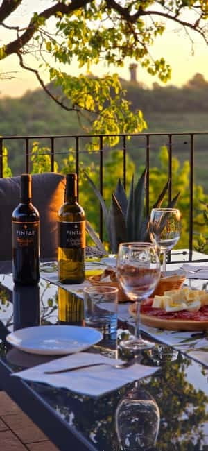 Goriška Brda: Wine Tasting with Local Snacks - Price and Value: Is $41 per Person Actually Fair?