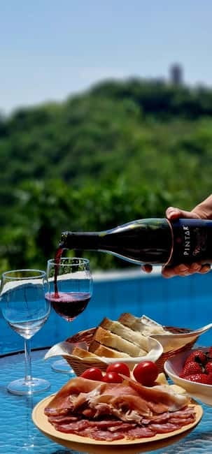 Goriška Brda: Wine Tasting with Local Snacks - Local Snacks: Cold Cuts and Cheese That Belong in Brda
