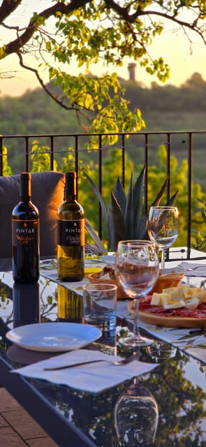 Goriška Brda: Wine Walk and Tasting - Soil and relief: the Alpine-Mediterranean mix behind Brda’s character