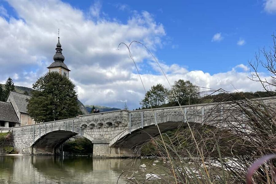 Guided tour to Bled and Bohinj from Ljubljana - Potica and local flavors, what you should look for