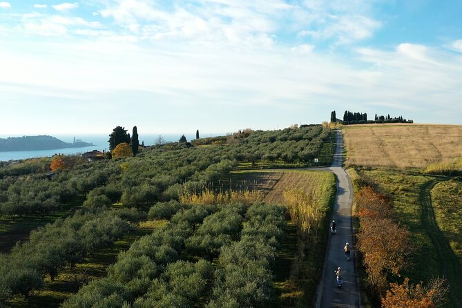 Half Day Vespa Countryside Tour and Tastings in Istria - Lunch at an Istrian Konoba: Where the Ride Turns Into Food Time