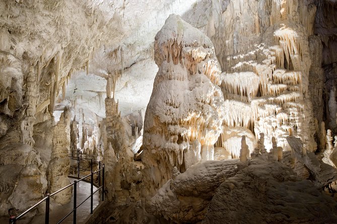 Highlights of Slovenia - Postojna & Bled (Tickets included) - Why This Ljubljana Day Trip Works: Karst Caves, Cliff Castle, and Bled Views
