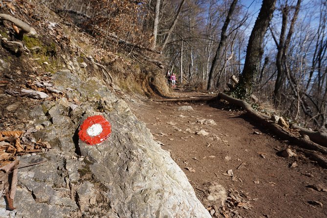 Hiking on the Edge of Ljubljana - What to Pack for This Ljubljana Hilltop Hike
