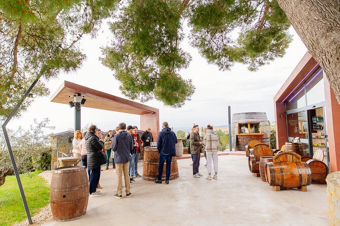 Hop & Taste Slovenian Riviera Hop-On Hop-Off & Local Bites - How the Hop-on Hop-off Part Works in Real Life