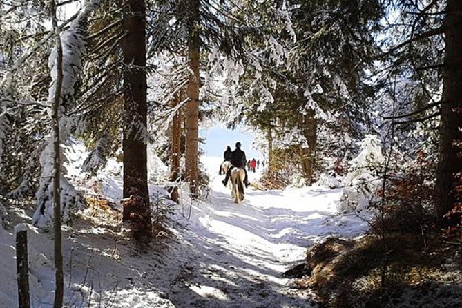 Horse Riding in Bled - Key things I’d circle in advance