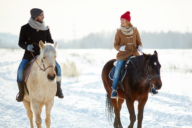 Horse Riding in Bled - Farm equipment, safety talk, then you mount