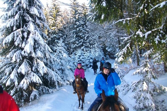 Horse Riding in Bled - Manege warm-up: how your comfort level shapes the trail