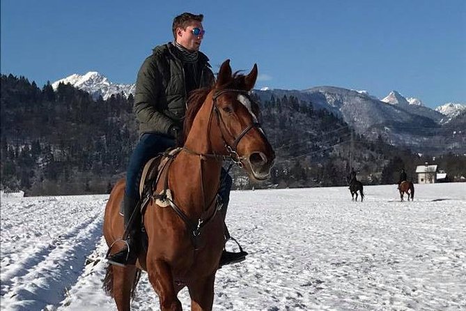 Horseback Riding In Bled - Mount up near Bled: the start that keeps your day easy