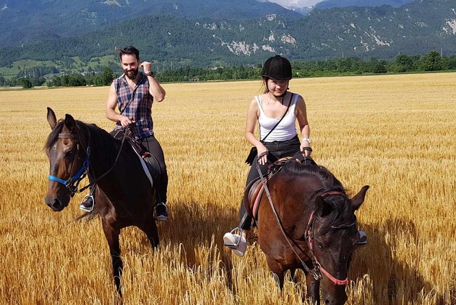 Horseback Riding In Bled - The 2-hour ride: fields, woods, river stops, and village roads