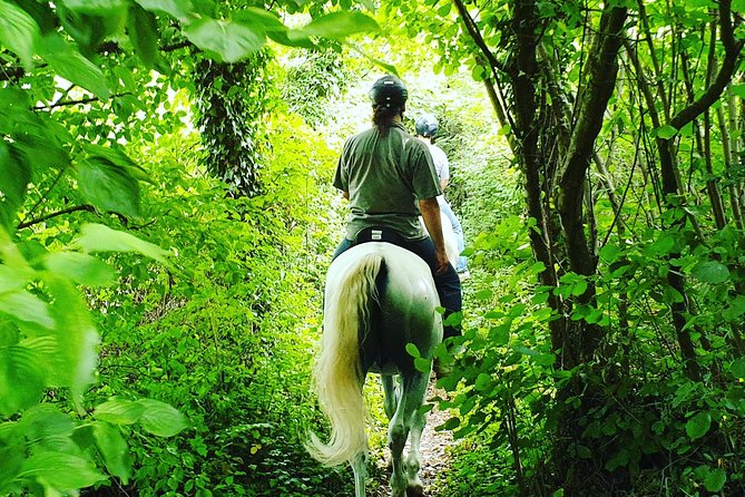 Horseback Riding In Bled - Price and value: what $132.16 buys you in Bled