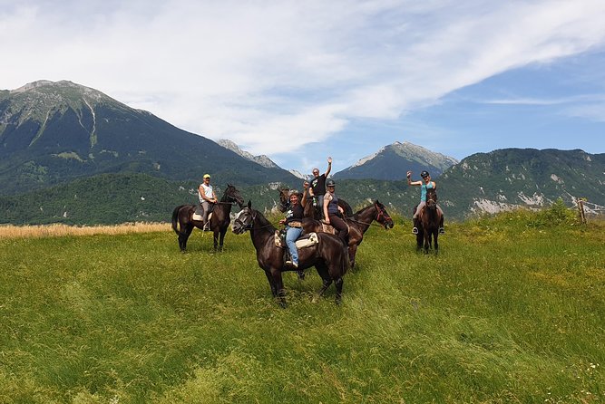 Horseback Riding In Bled - Who should book this Bled horseback ride, and who should pause