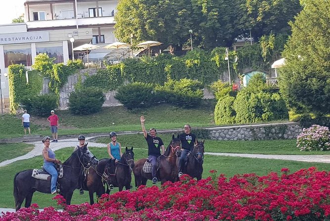 Horseback Riding In Bled - Booking checklist for a smooth day