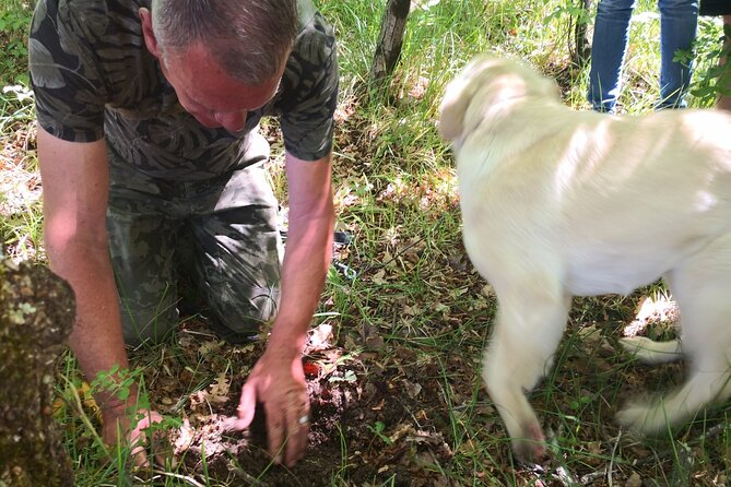 Istria - Truffles: Hunting & Cooking & Tasting, Slovenia - Who should book this truffle hunt, and who might not love it