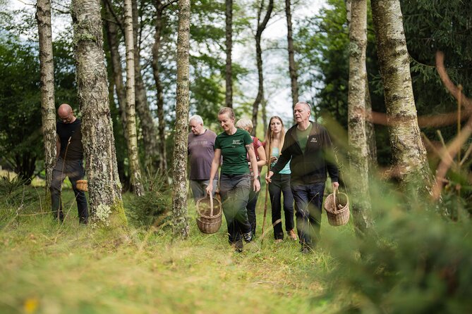 It Smells Like Mushrooms - The Foraging Walk: Picking Mushrooms the Safe Way