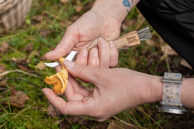 It Smells Like Mushrooms - The Included Extras That Make the Day Feel Complete