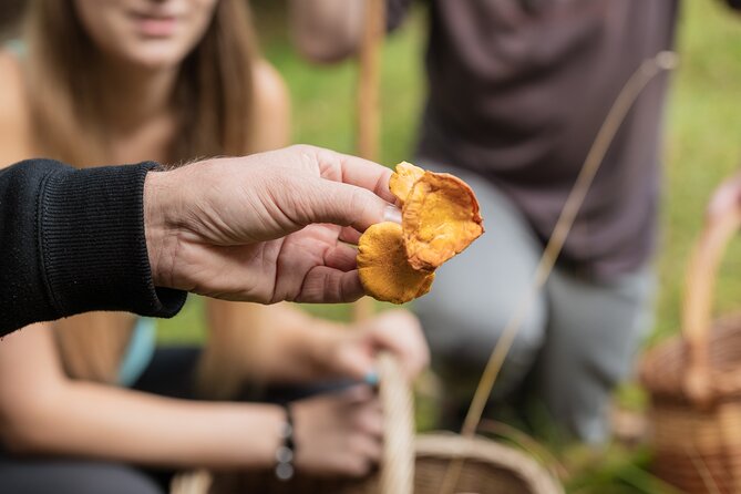 It Smells Like Mushrooms - Weather, Timing, and What to Pack (Even if They Don’t Say It)