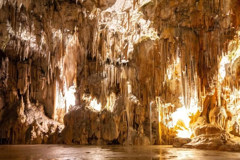 Koper/Trieste: Postojna Cave & Predjama Castle Tour & Ticket - Where you’ll be picked up, and how to avoid meeting-point stress