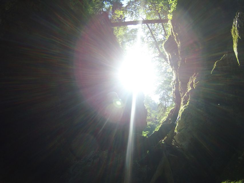 Lake Bled: Canyoning Excursion With Photos - Photos and videos: letting the guides do the catching
