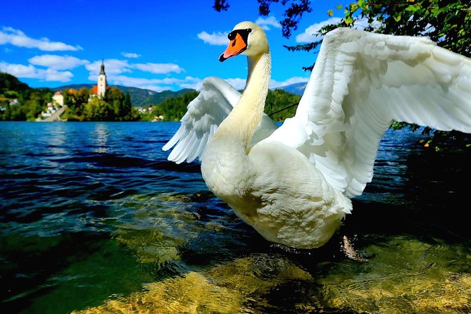 Lake Bled Half Day Excursion from Ljubljana - Bled Castle: The Clifftop Fortress and a Gutenberg-Press Demo