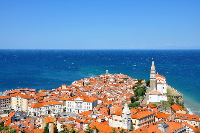 Lipica stud farm and Piran Tour from Ljubljana - Key points to know before you go
