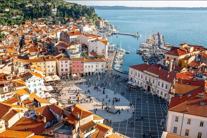 Lipica stud farm and Piran Tour from Ljubljana - Coach Ride from Ljubljana: Pickups, Timing, and a Comfortable Start