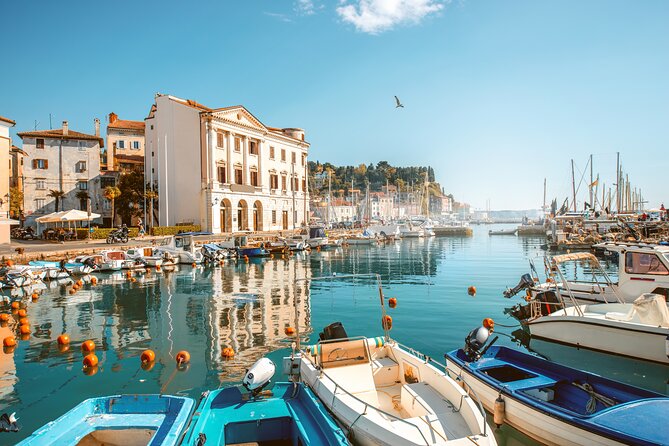 Lipica stud farm and Piran Tour from Ljubljana - Piran by Coach: The Venetian Port Feeling You Can Actually Walk