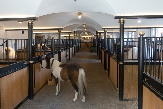 Lipica Stud Farm and Skocjan Caves from Koper - Cave walking reality check: stairs, low ceilings, and wet paths