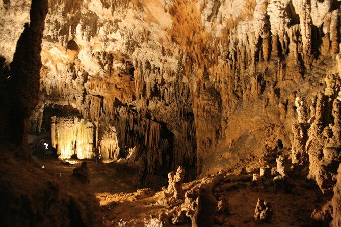 Lipica Stud Farm and Skocjan Caves from Koper - Škocjan Caves Regional Park: what you do after the main cave