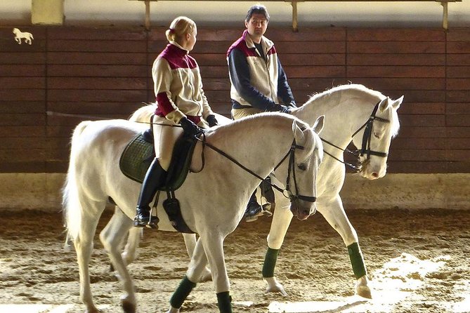 Lipica Stud Farm and Skocjan Caves from Piran or Portoroz or Izola - Timing and flow: how the 6-hour day usually feels