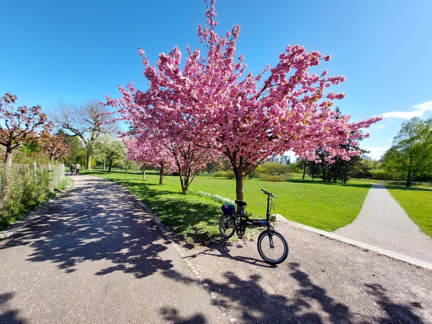 Ljubljana by E-Bike: Guided City Highlights Tour - Postojna Cave and Predjama Castle: Confirm What Your Ticket Includes
