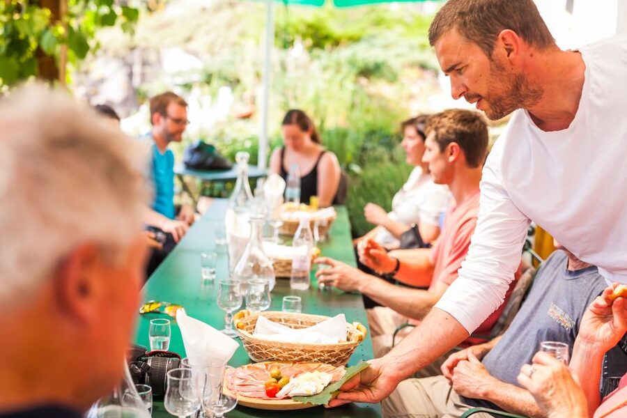 Ljubljana: Karst & Coast Full-Day Trip - Teran wine and prosciutto: a small taste with big local credibility