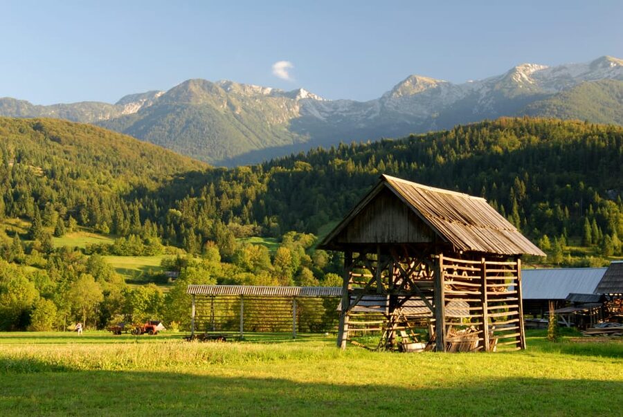 Ljubljana: Lake Bled & Triglav National Park Full-Day Trip - Lake Jasna: clear water and a quieter kind of wow