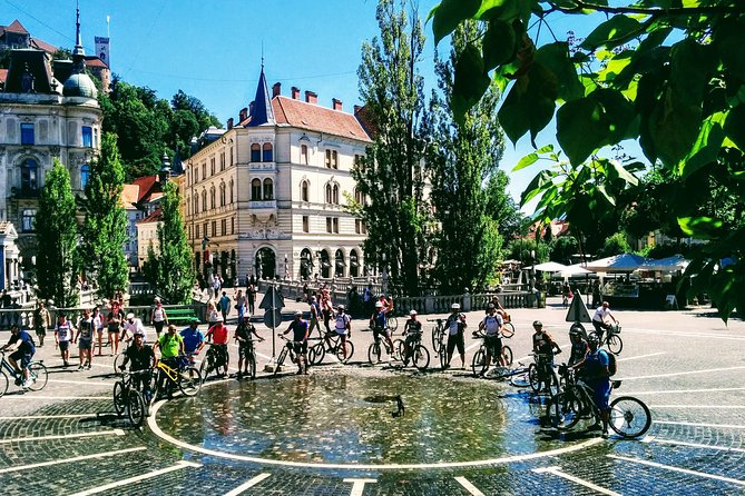 Ljubljana MTB Capital tour (e-bike enduro/all mountain) - Golovec Trails: Riding Forest Lines Locals Actually Use