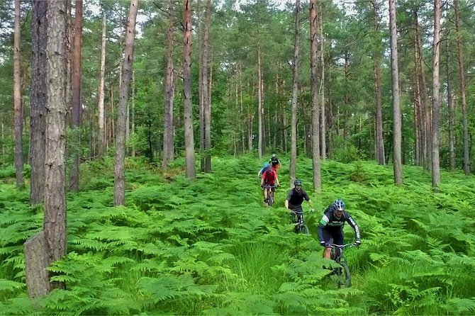 Ljubljana MTB Capital tour (e-bike enduro/all mountain) - Old Town After the Ride: Main Sights Without the Extra Planning