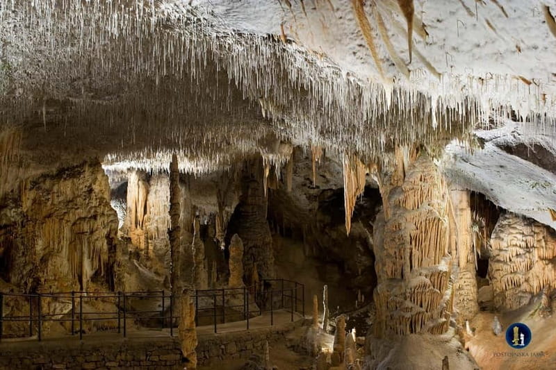 Ljubljana: Postojna Cave and Predjama Castle Tour - The 5.5-hour rhythm: transport, timing, and the walking reality