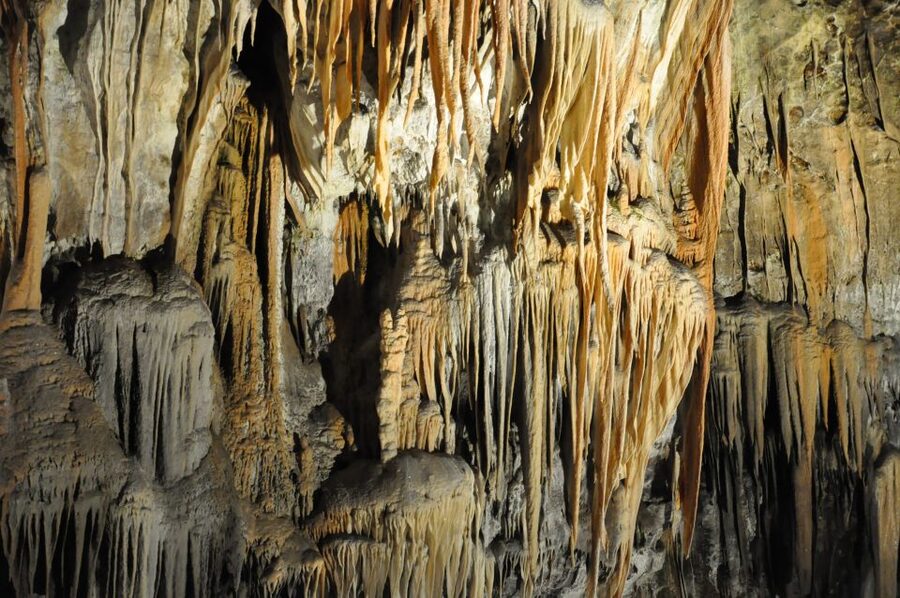 Ljubljana: Postojna Cave & Predjama Castle Tickets and Tour - Postojna Cave: the underground train and the human fish