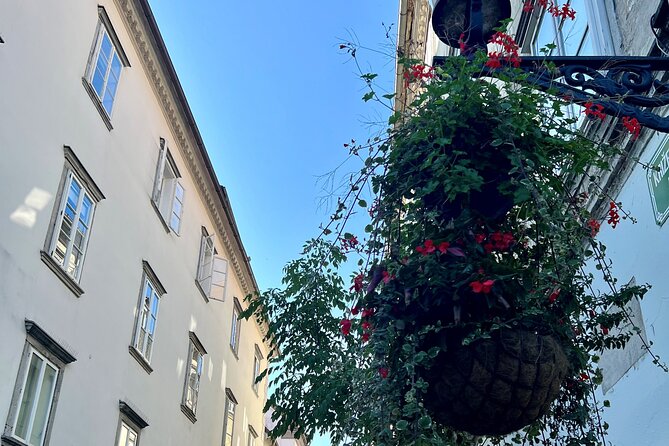 Ljubljana Private Family-Friendly Historic Old Town Guided Tour - Mestni Trg and Robba Fountain, the first “wow” stop