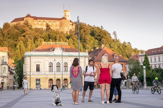 Ljubljana: Private Walking Tour with a Local - Meeting Your Lokafyer in Central Ljubljana