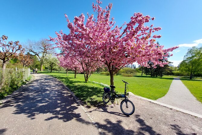 Ljubljana Sightseeing Tour by Electric Bikes - Who this tour suits best