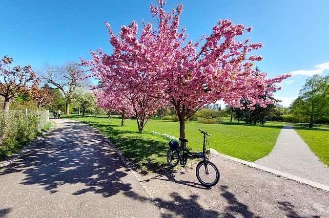 Ljubljana Sightseeing Tour by Electric Bikes - Should you book Ljubljana Sightseeing by Electric Bikes?
