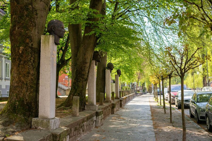 Ljubljana: UNESCO cultural heritage tour - What you should bring and how to prepare