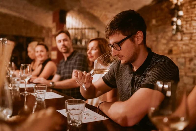 Ljubljana: Wine Tasting Experience with Appetizers - Small practical tips to enjoy every minute