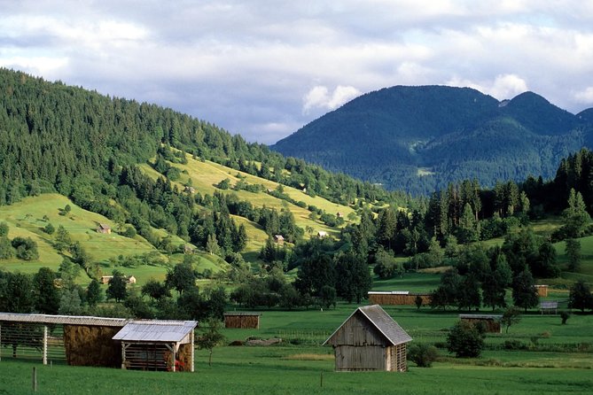 Magic of Alps, Triglav NP with Lake Bohinj & Waterfall Savica, HD Trip from Ljub - Key highlights you should know before you go