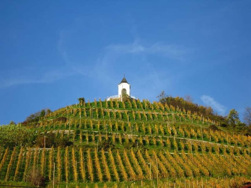 Maribor & Styria Tour with Wine Tasting - How the Maribor timing works (and where people can get antsy)